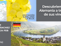 DESCUBRIENDO ALEMANIA A TRAVÉS DE SUS VINOS